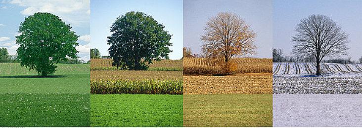 2025年6月XGP已确认入库游戏阵容 首批含4款游戏